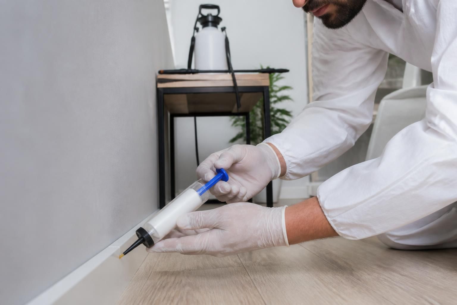découvrez le mode d'emploi professionnel du gel anti-cafard pour une élimination efficace et durable des cafards. conseils d'application et astuces pour un résultat optimal.