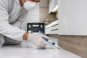 découvrez comment utiliser efficacement notre gel anti-cafard avec ce mode d'emploi professionnel, pour une élimination rapide et durable des cafards.